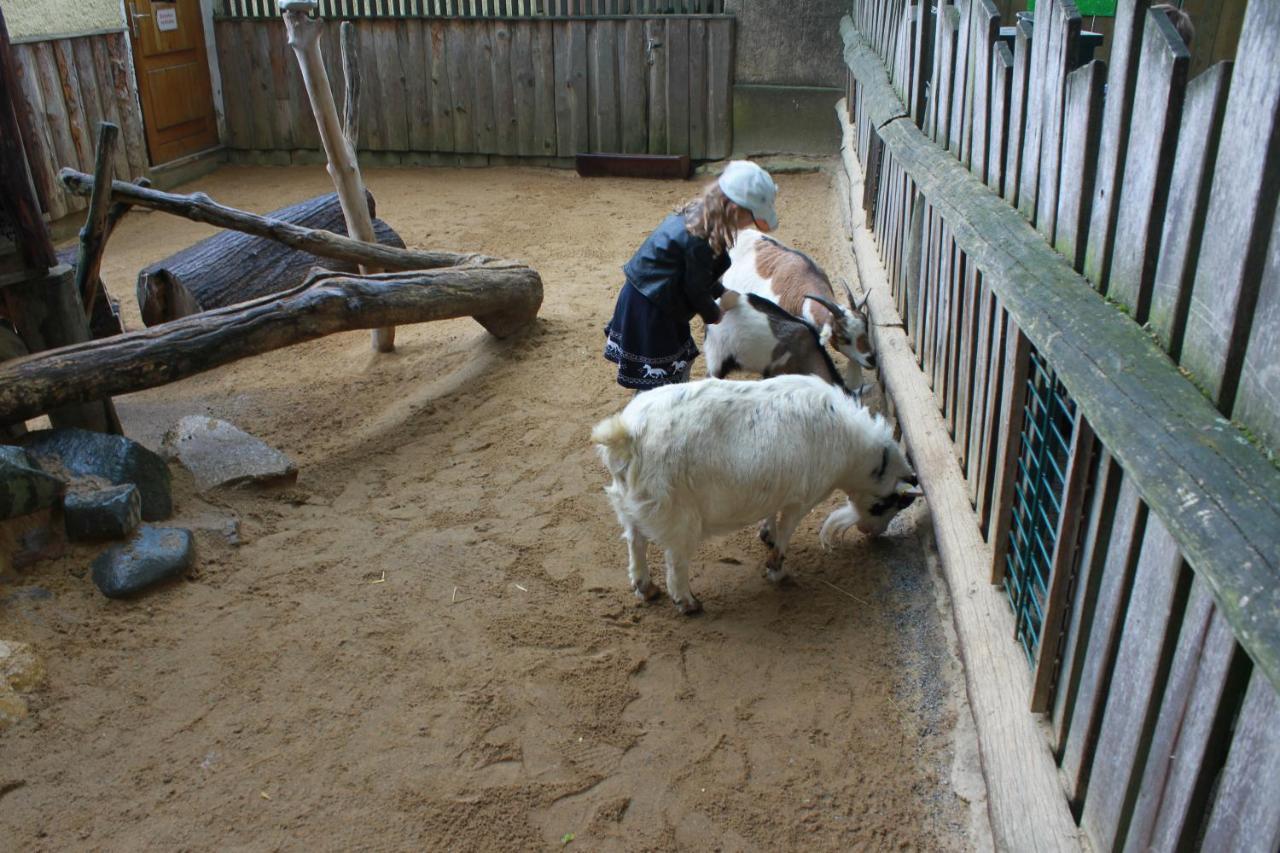 Bischofswerda Ferienwohnung Familienfreundlich Seniorengerecht ภายนอก รูปภาพ