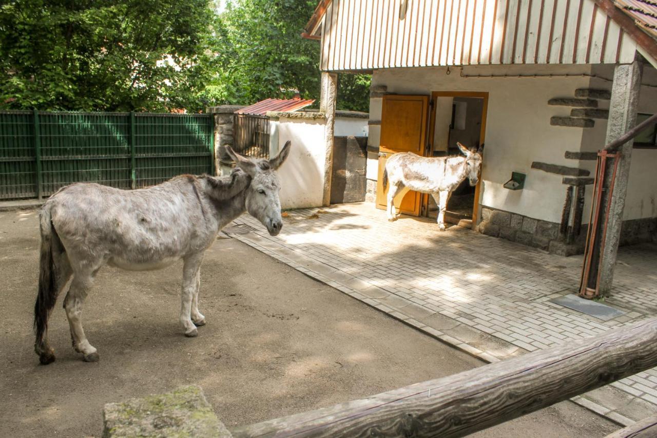 Bischofswerda Ferienwohnung Familienfreundlich Seniorengerecht ภายนอก รูปภาพ